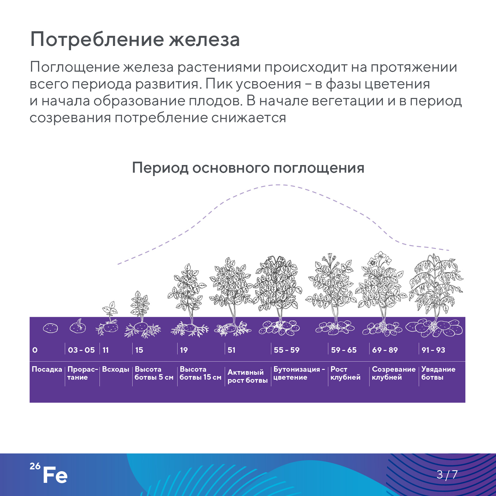 Пост 28.10.2026