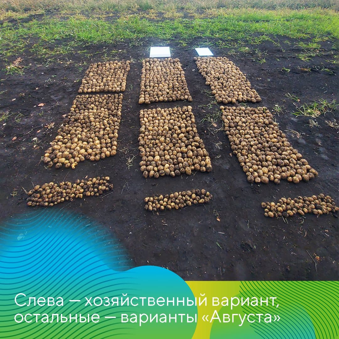  ООО «Латкин» Нижегородской области  02.23