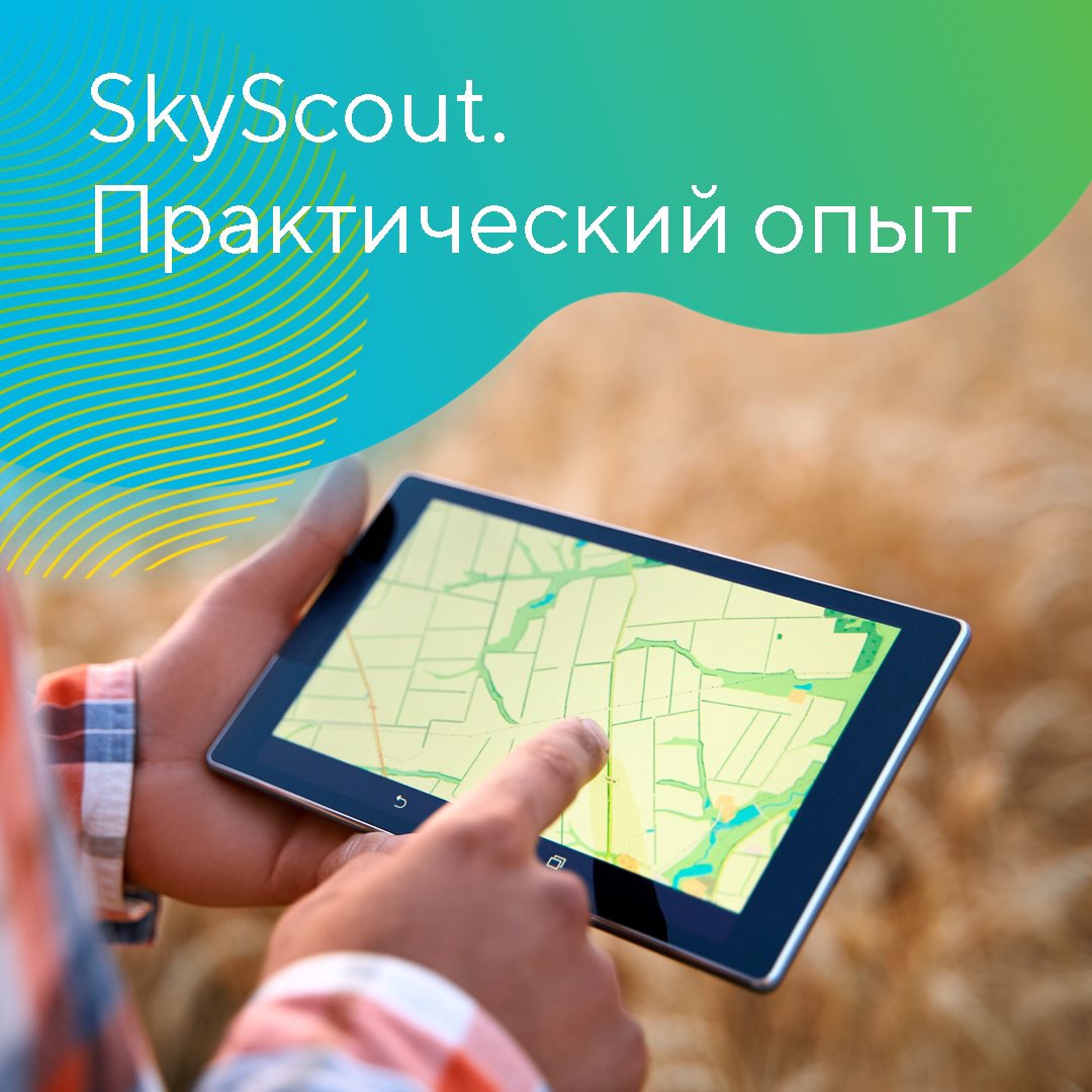 ScyScout