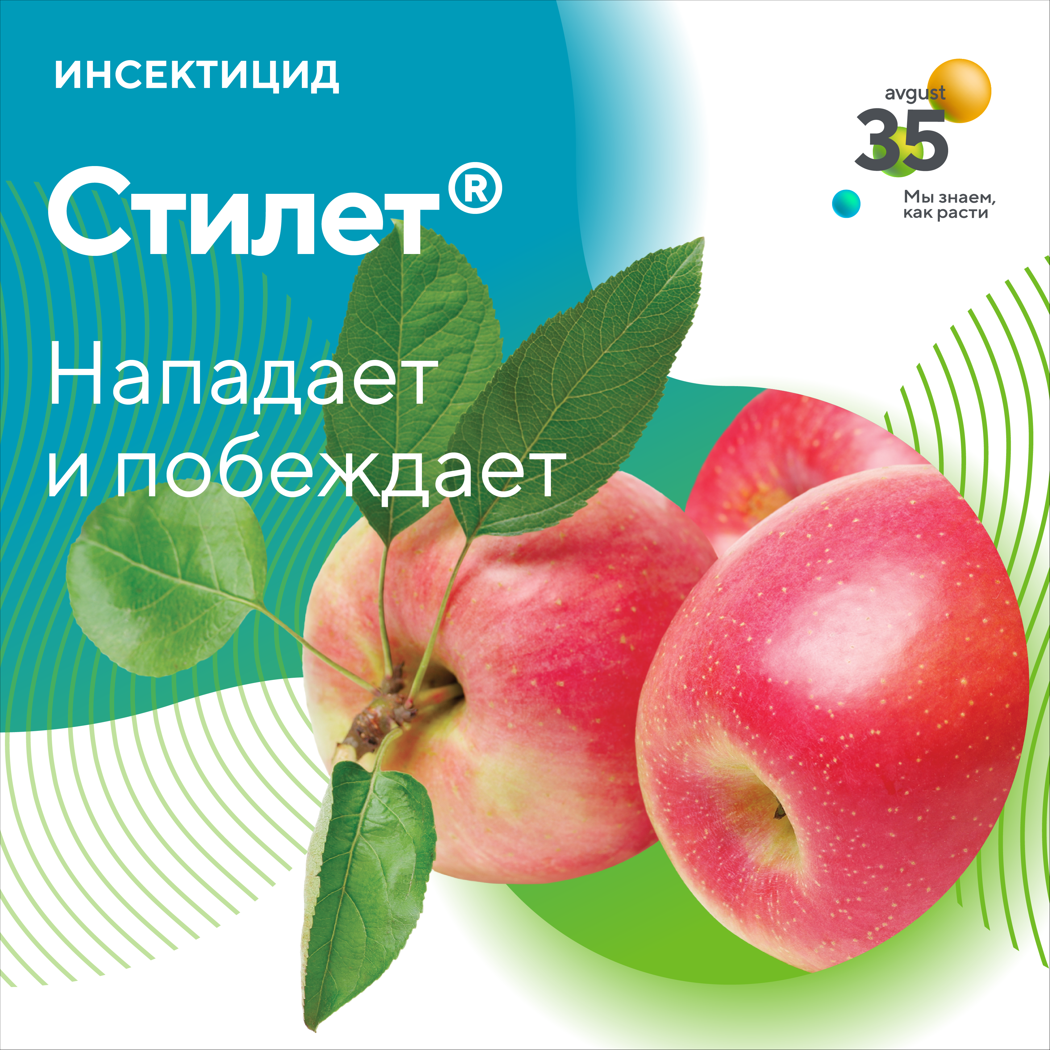Пост 23.06.2025