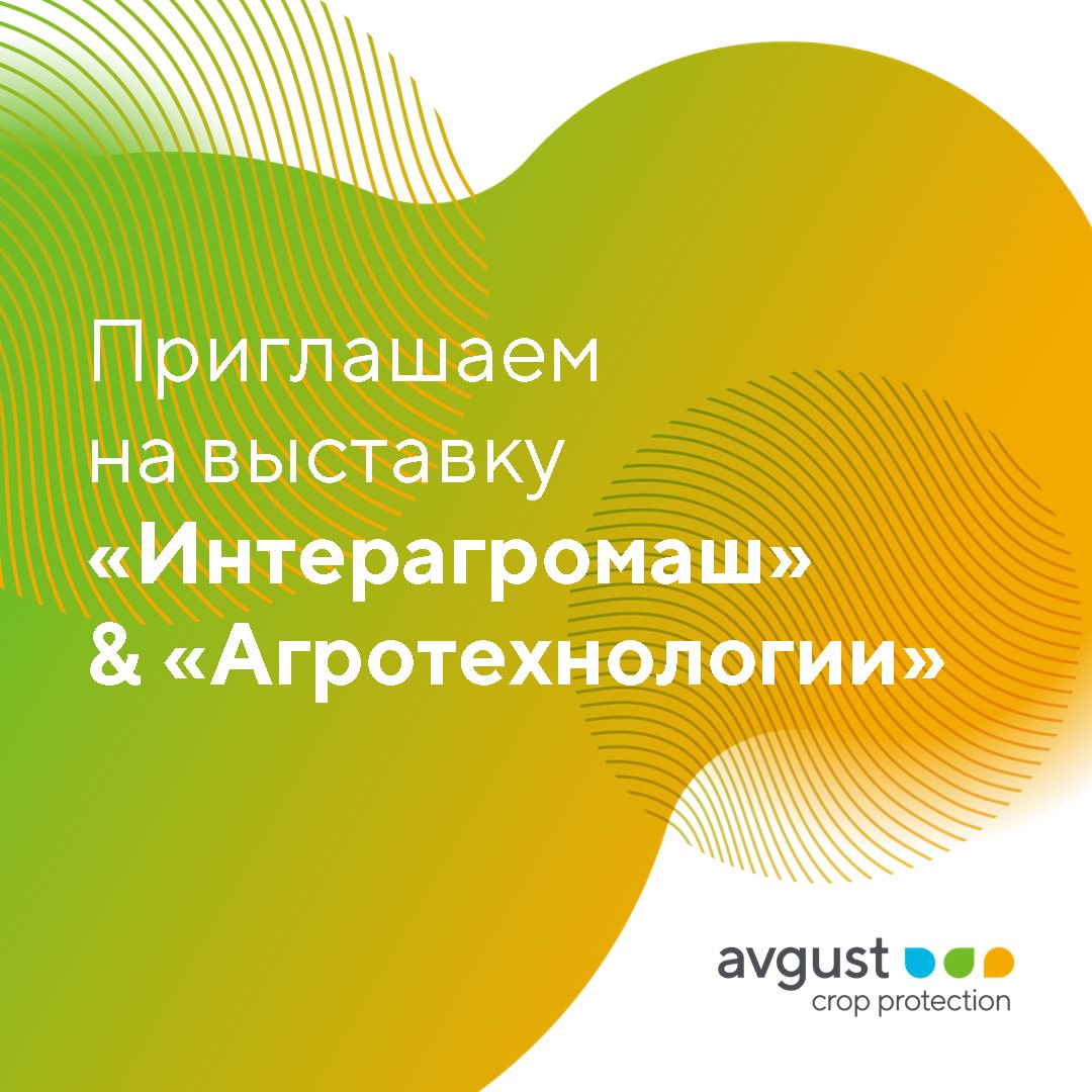 Пост 20.02.2025
