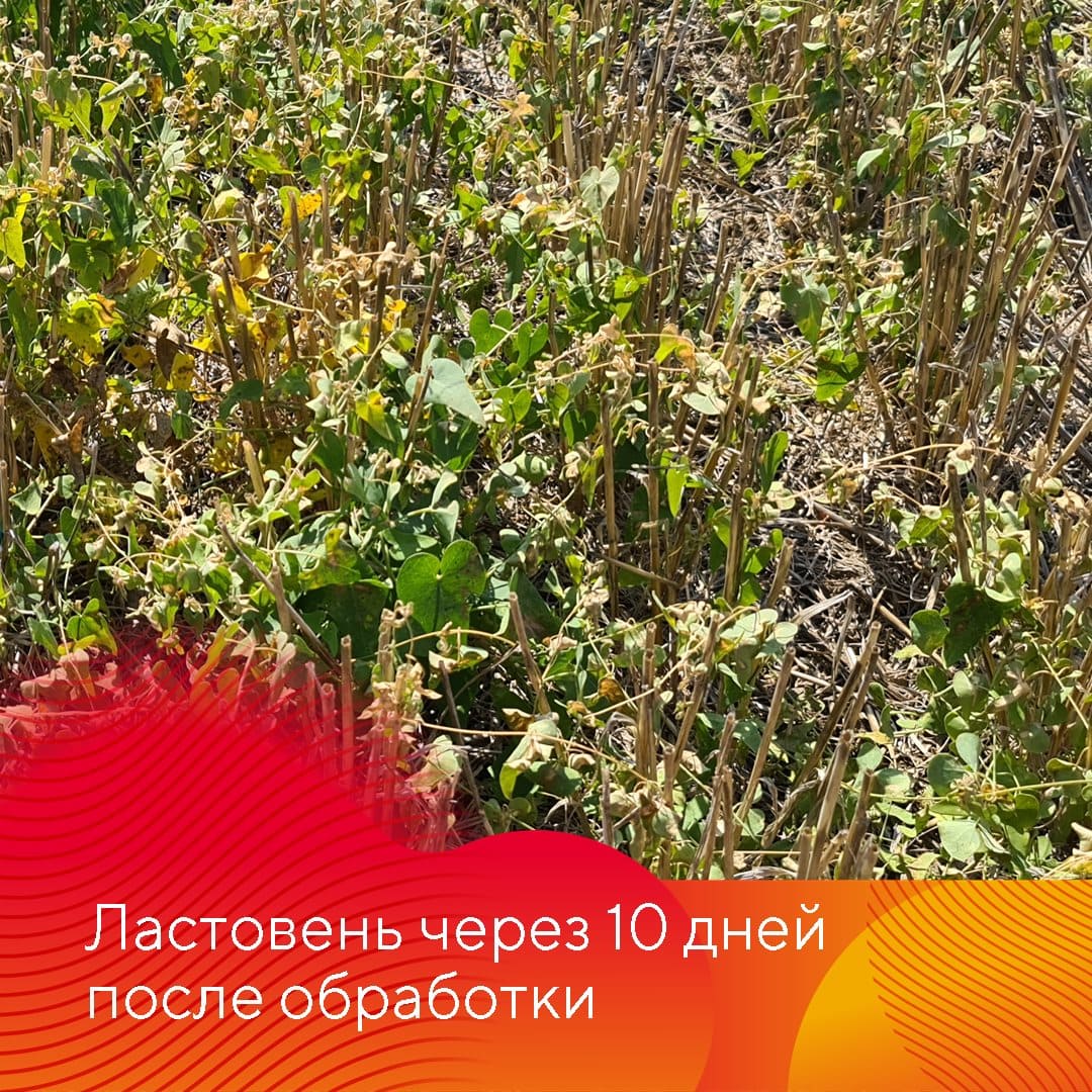 Менеджер-технолог представительства «Августа» в Ставрополе Владислав Панченко сентябрь 2022