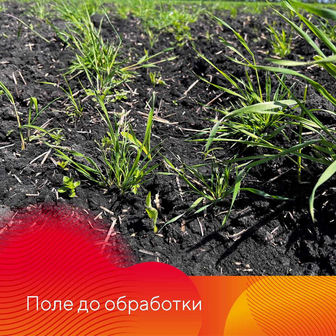 Работает Фултайм июнь 2023