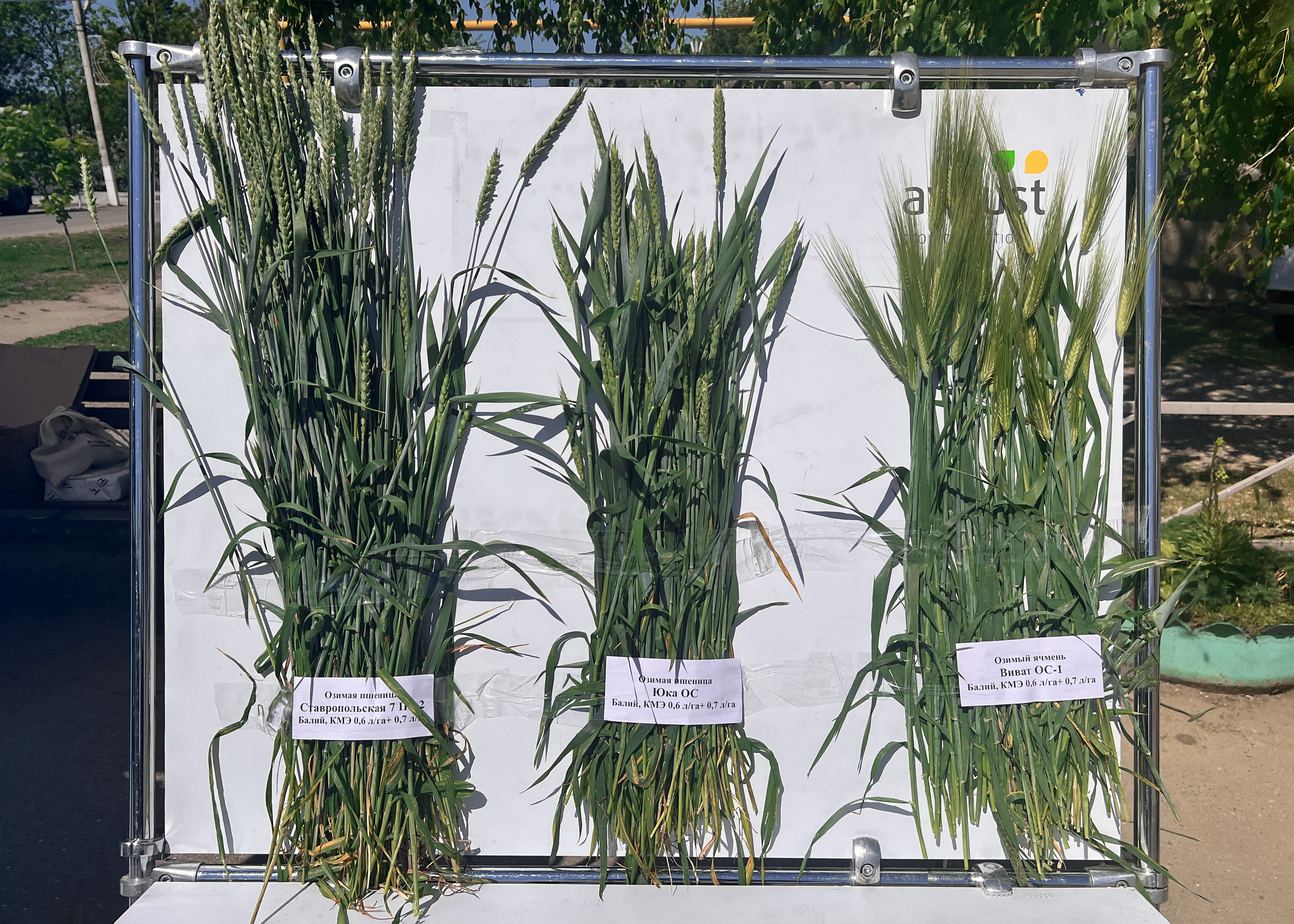 Доппост 28.05