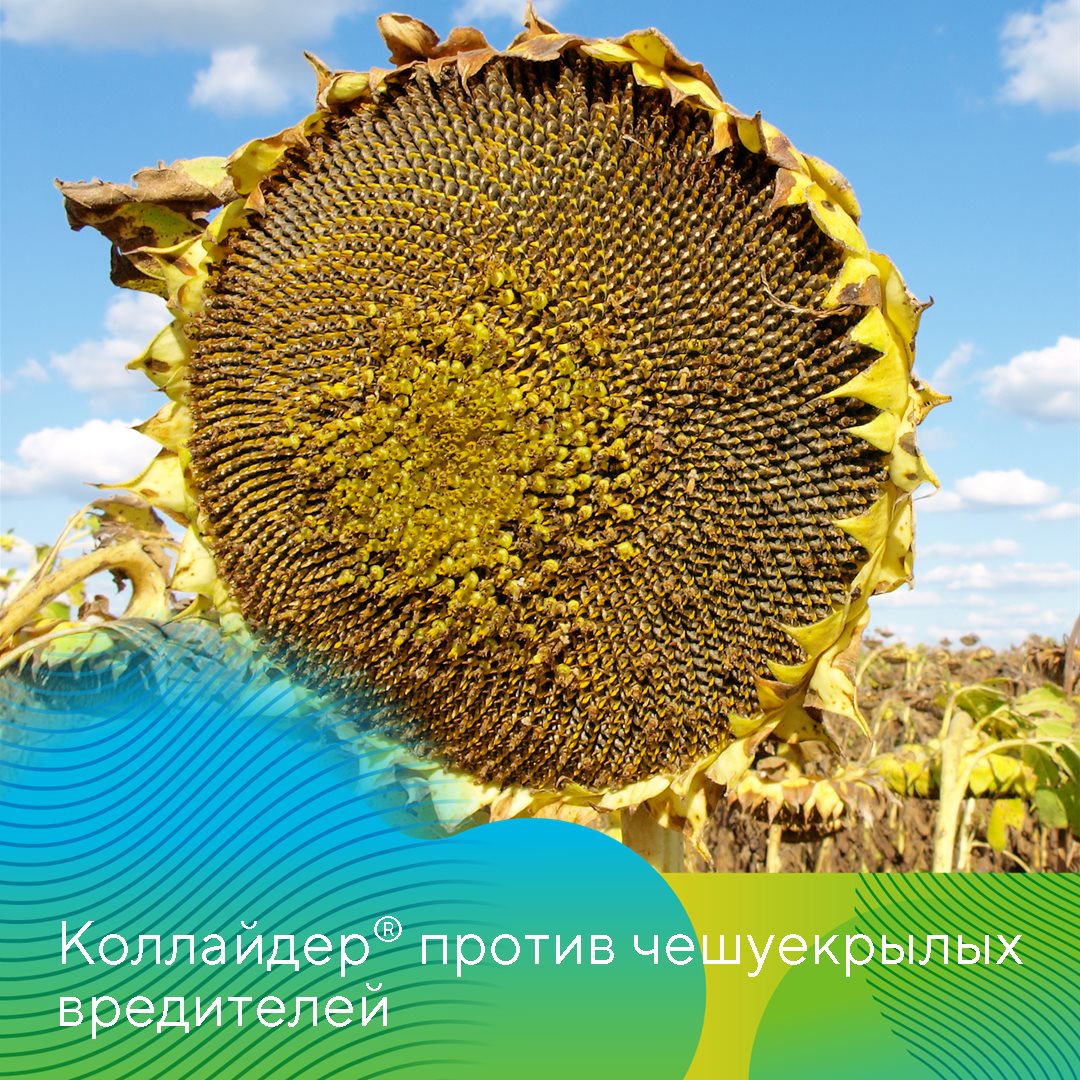 Пост 21.05.2026