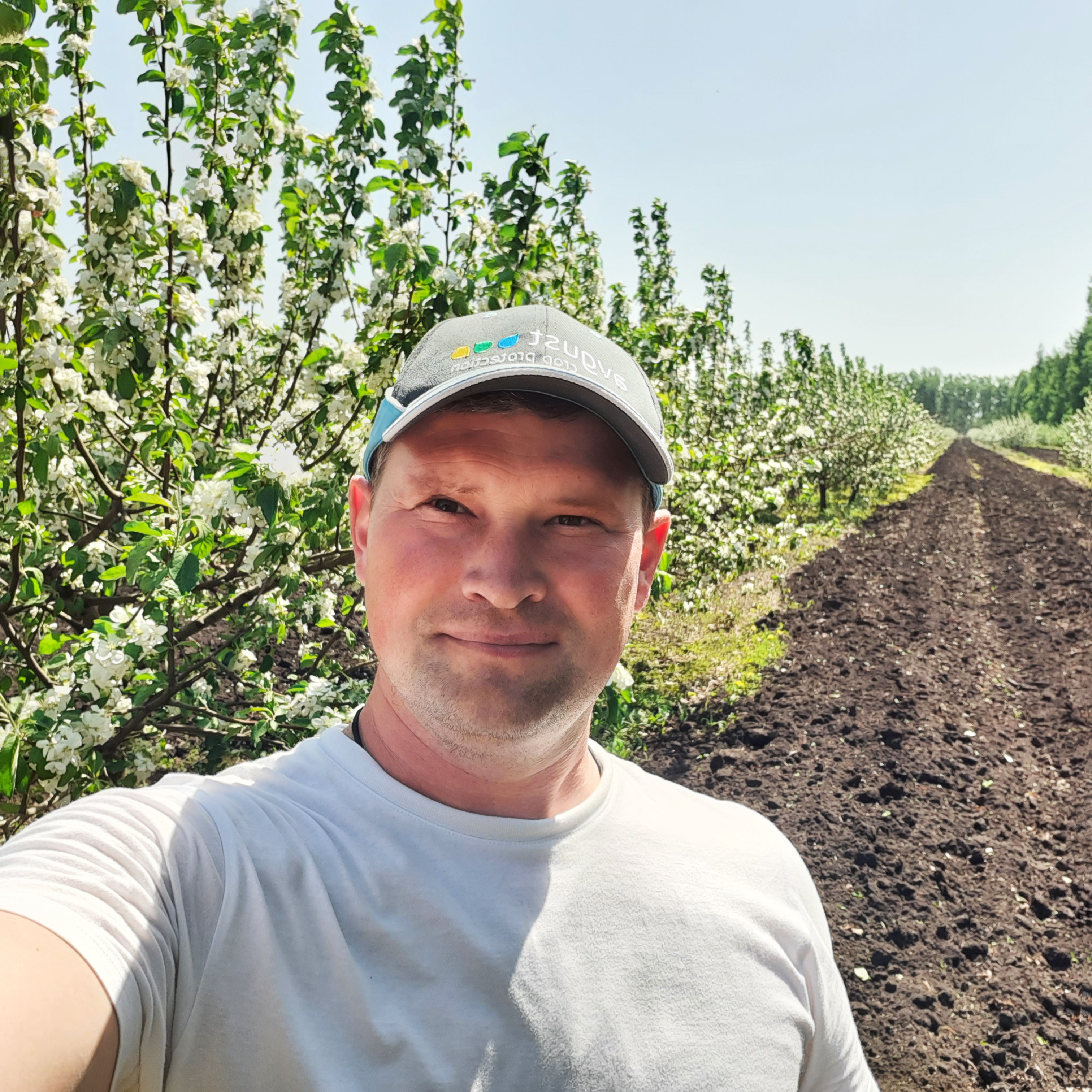 Обработка садов в ЦЧР 2023