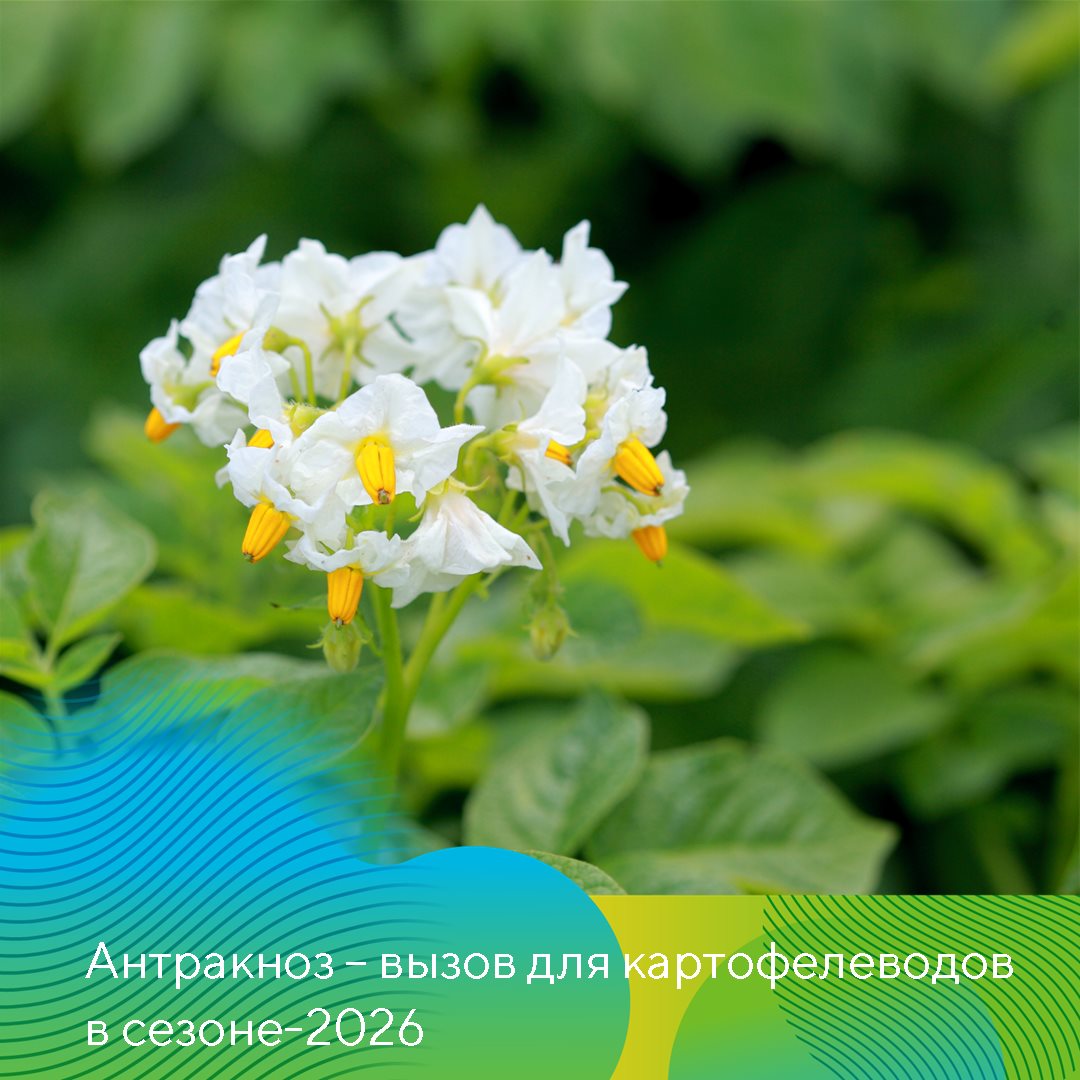 Пост 29.05.2026