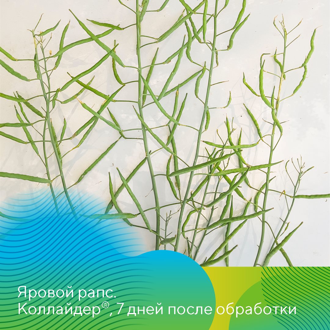 Пост 21.05.2026