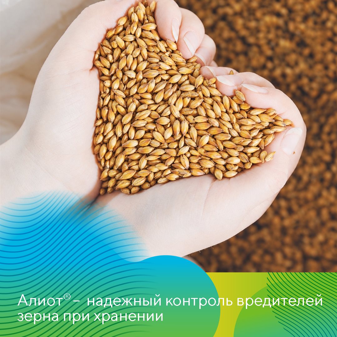 Пост 8.10.2026