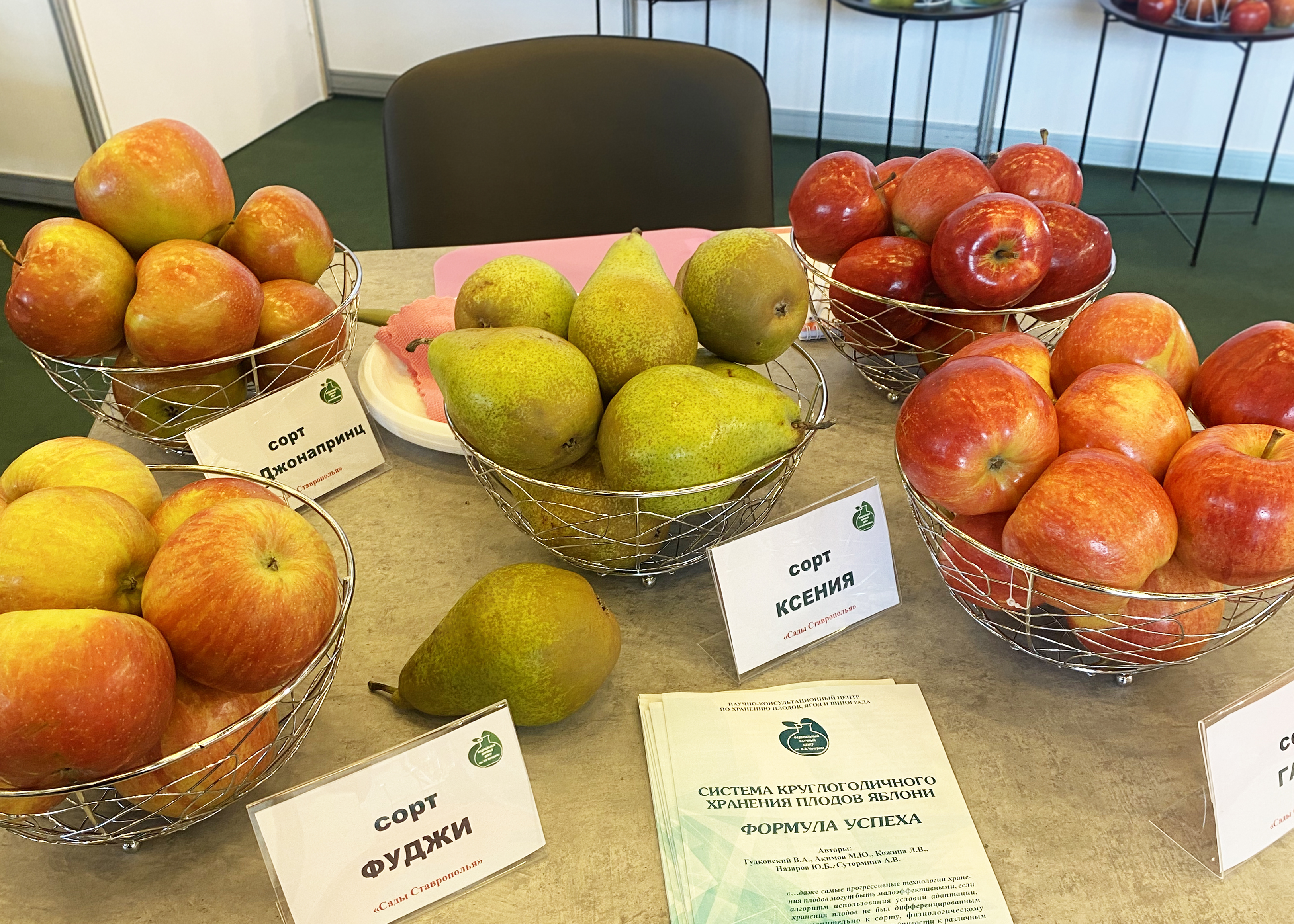 МинводыЭКСПО 2024 13.06