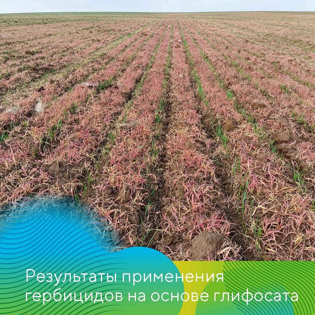 ООО НПК «АгроЛидер» 2022