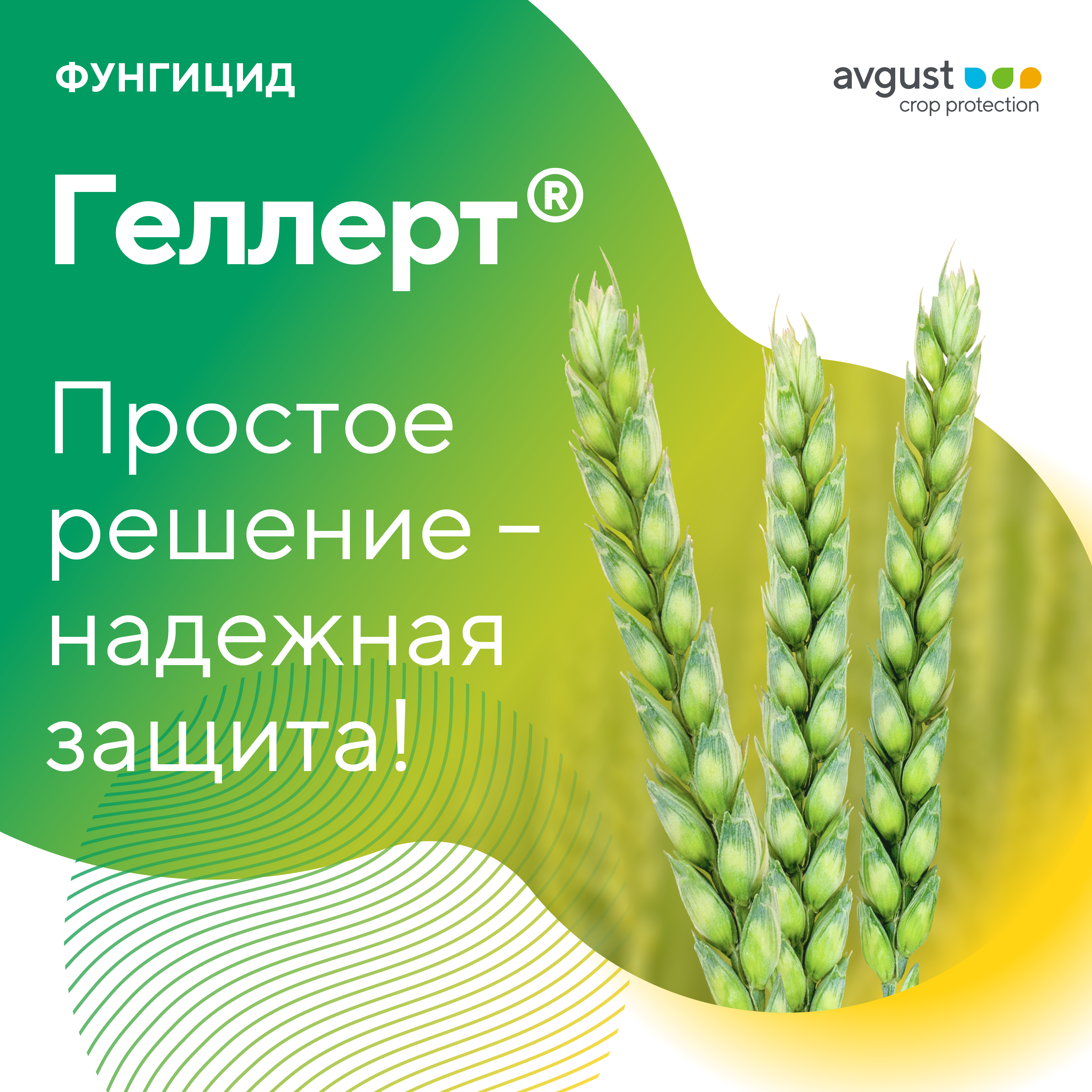 Пост 1.06.2026