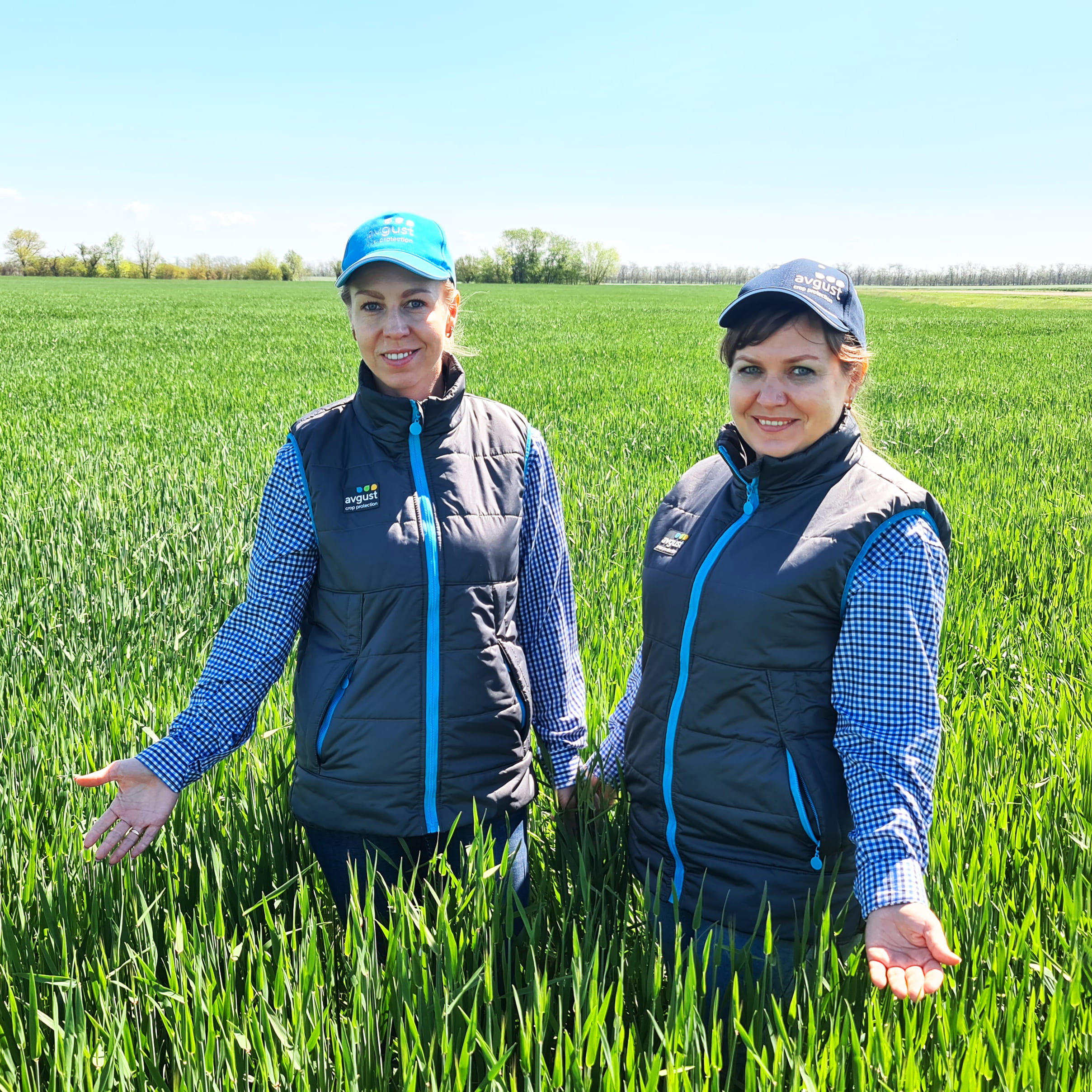 О системах защиты культур в СПК Колхоз «Терновский» 