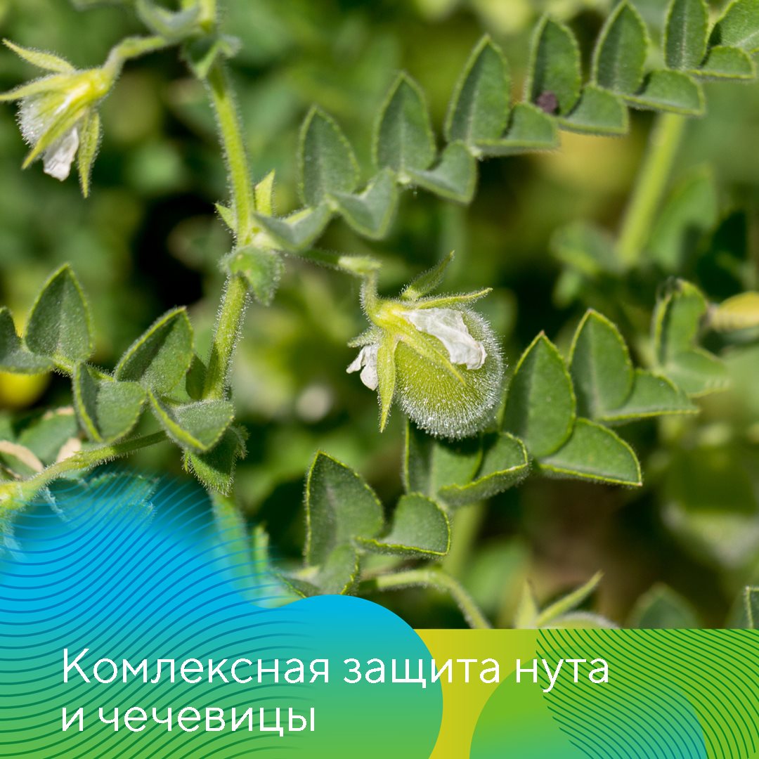 Пост 15.05.2026