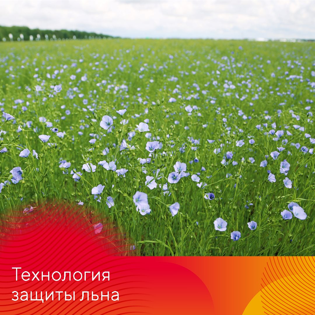 Пост 29.04.2025