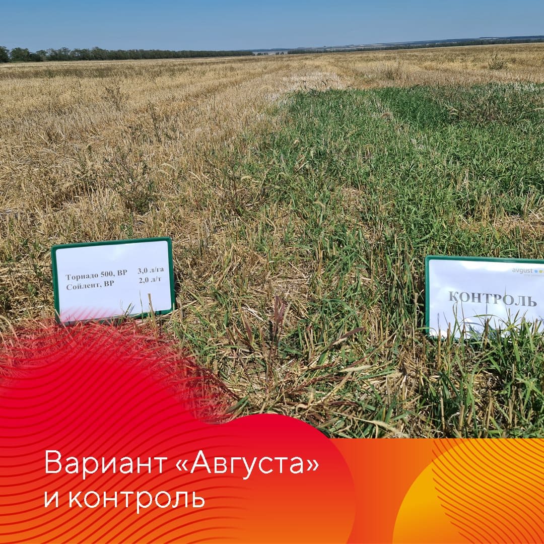 Менеджер-технолог представительства «Августа» в Ставрополе Владислав Панченко сентябрь 2022