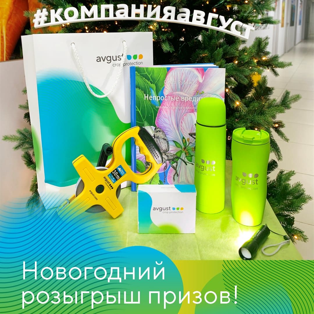 Разыгрываем новогодние призы 2022