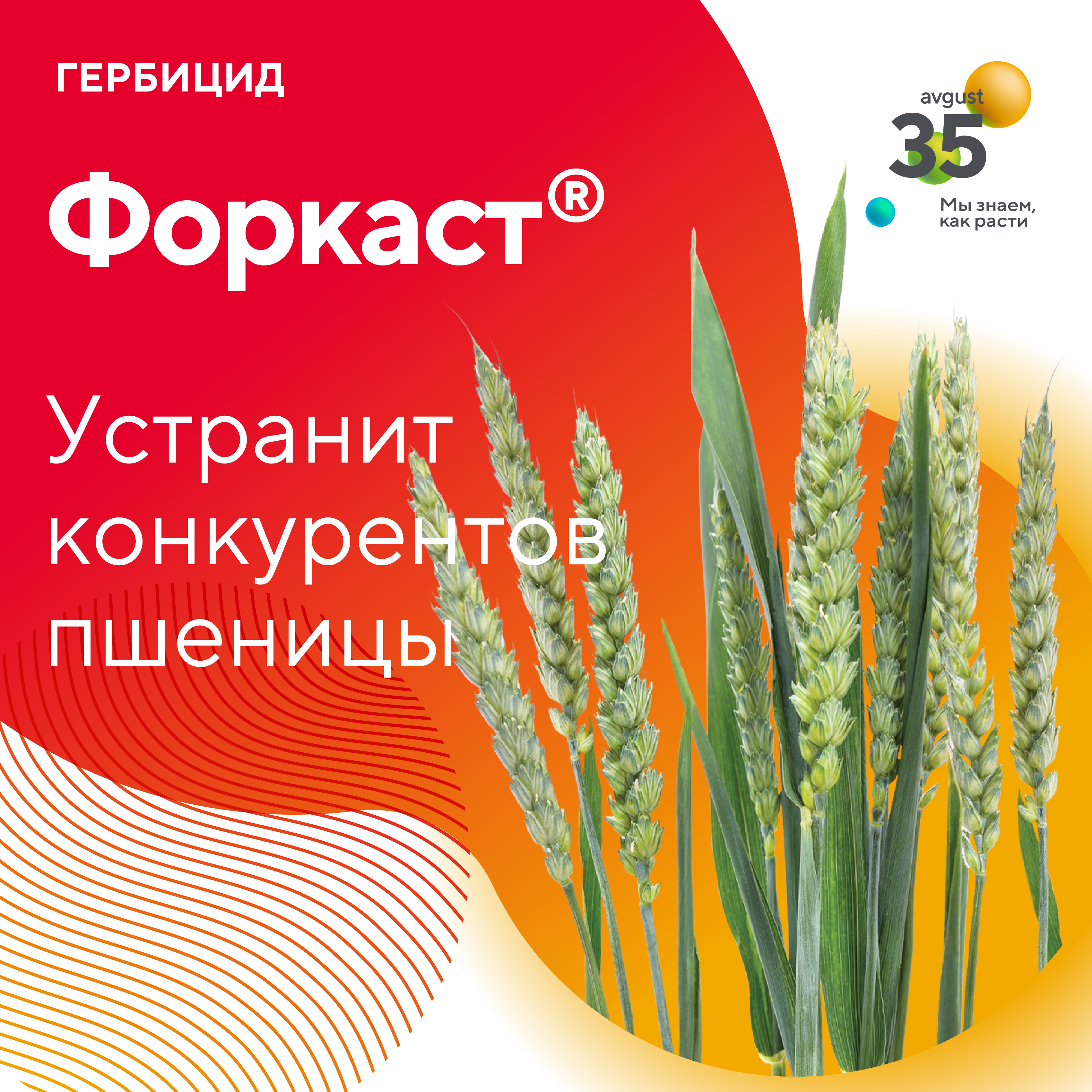 Пост 9.09.2025