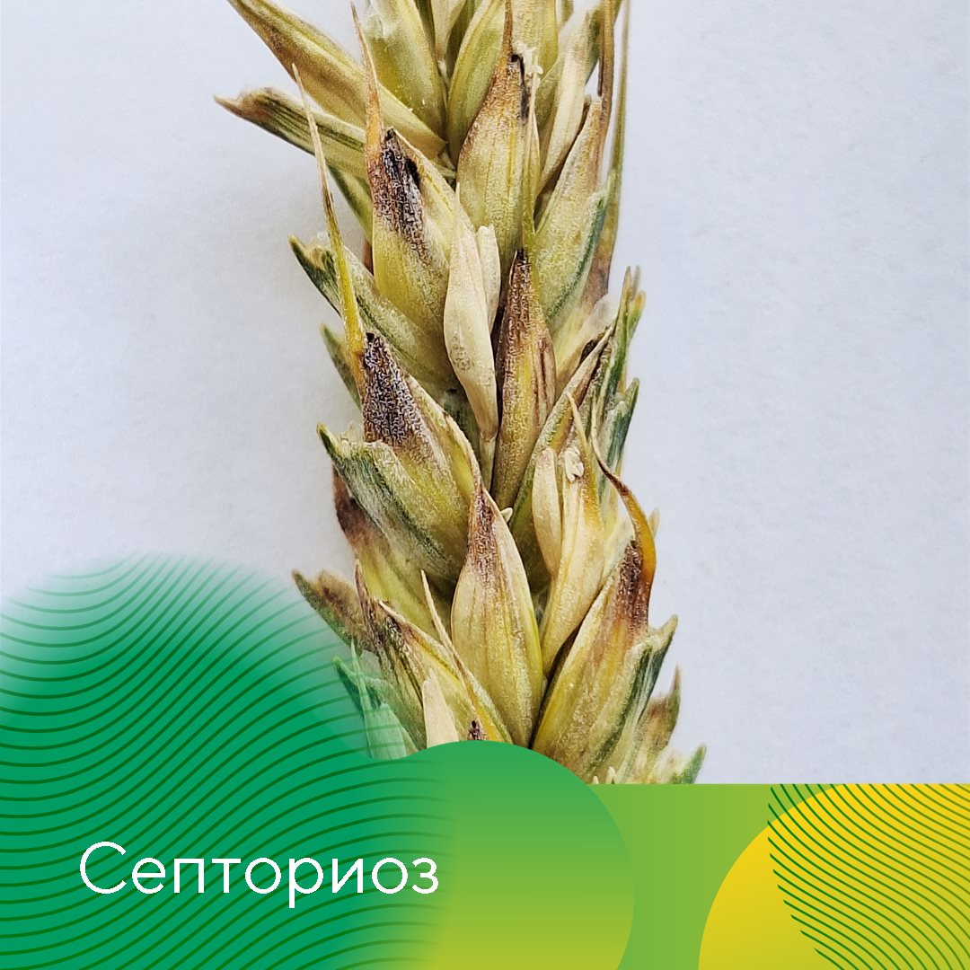 Пост 6.05.2026