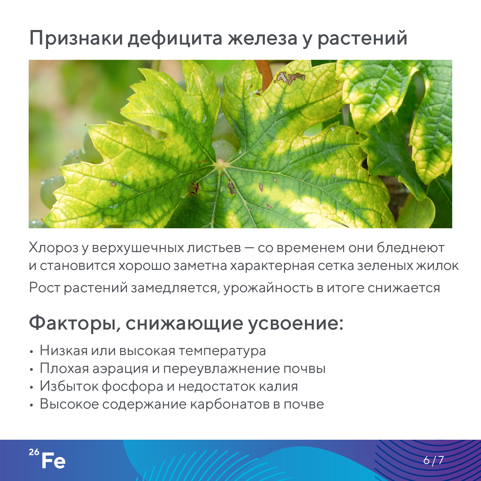 Пост 28.10.2026