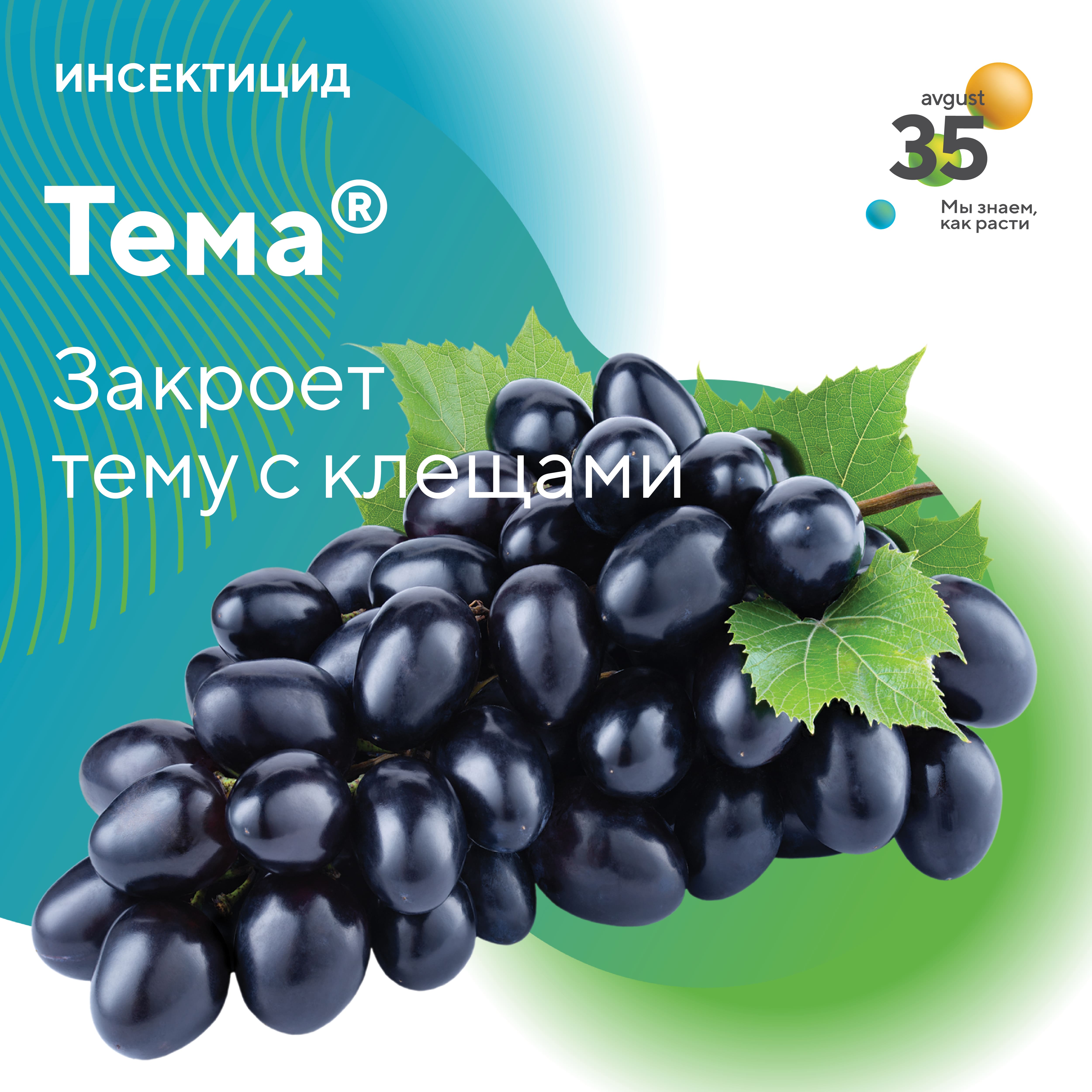 Пост 19.08.2025