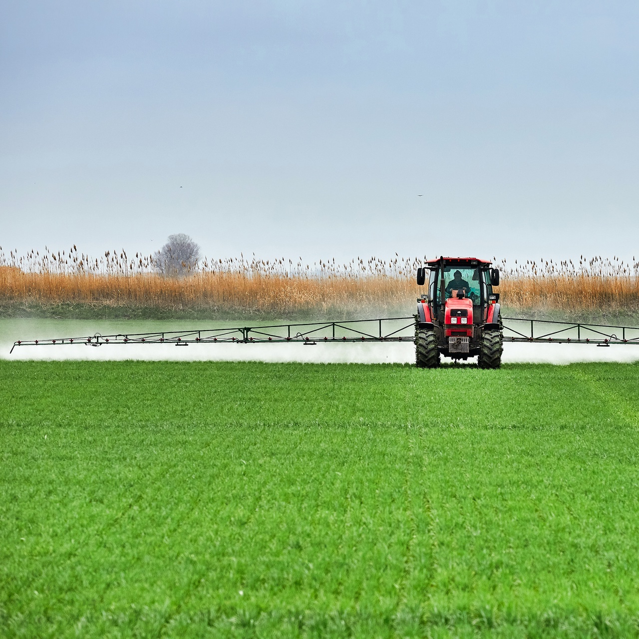 ООО «Кубрис» 2023