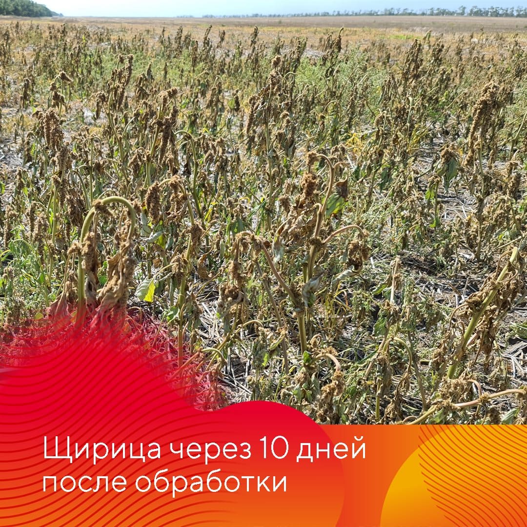 Менеджер-технолог представительства «Августа» в Ставрополе Владислав Панченко сентябрь 2022