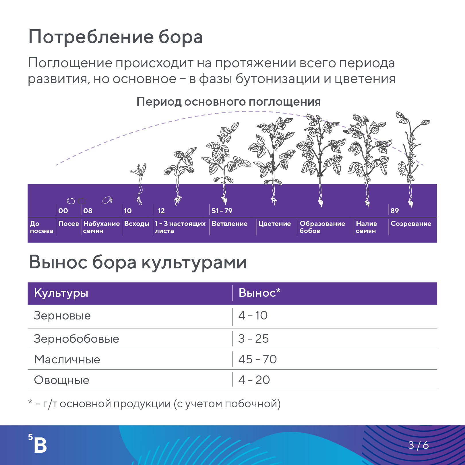 Пост 21.08.2026