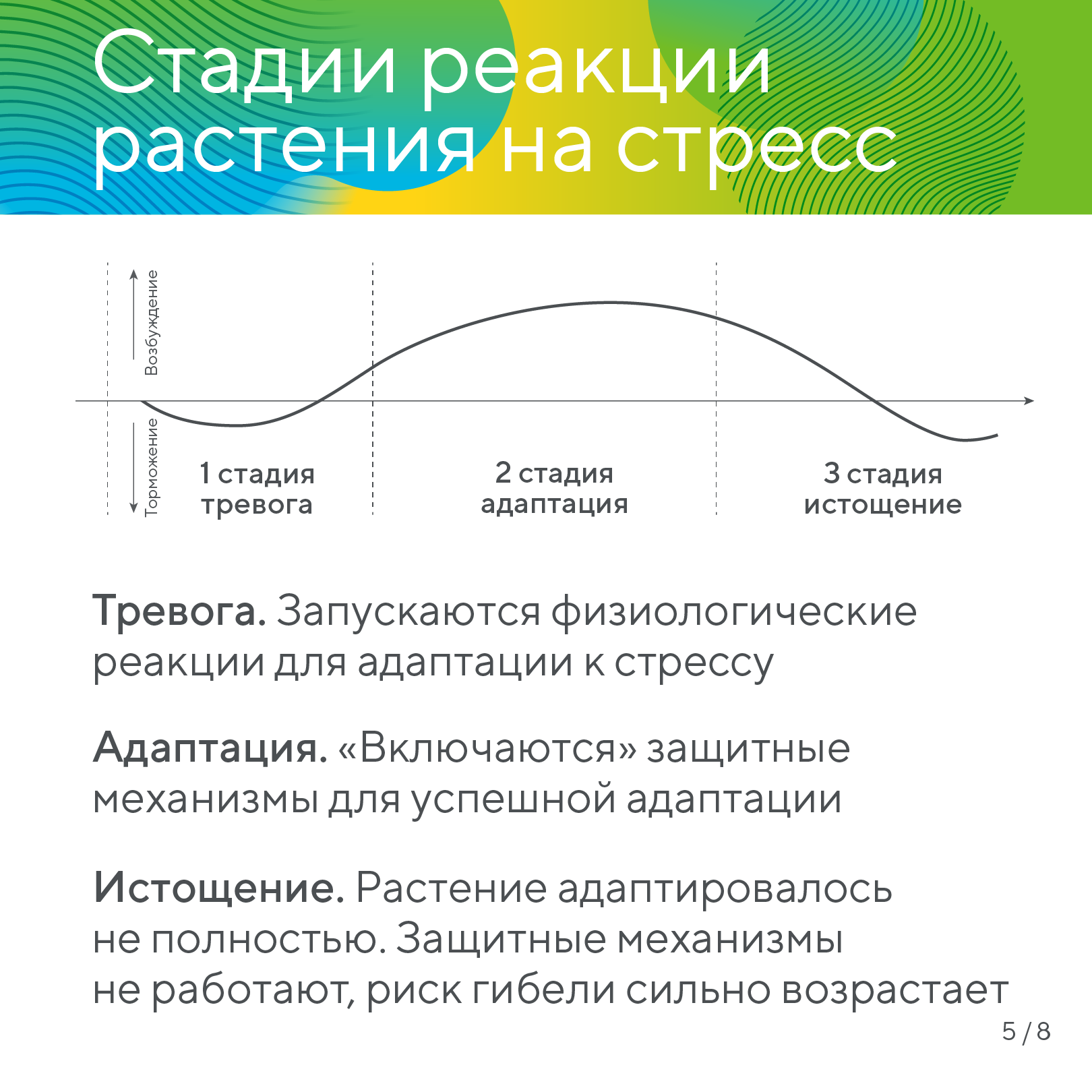Пост 20.01.2026.1