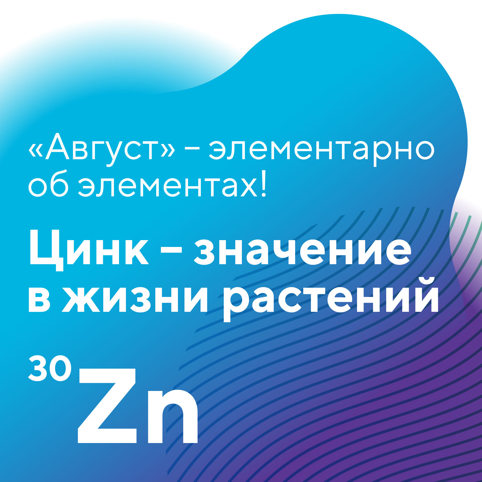 Пост 10.07.2026