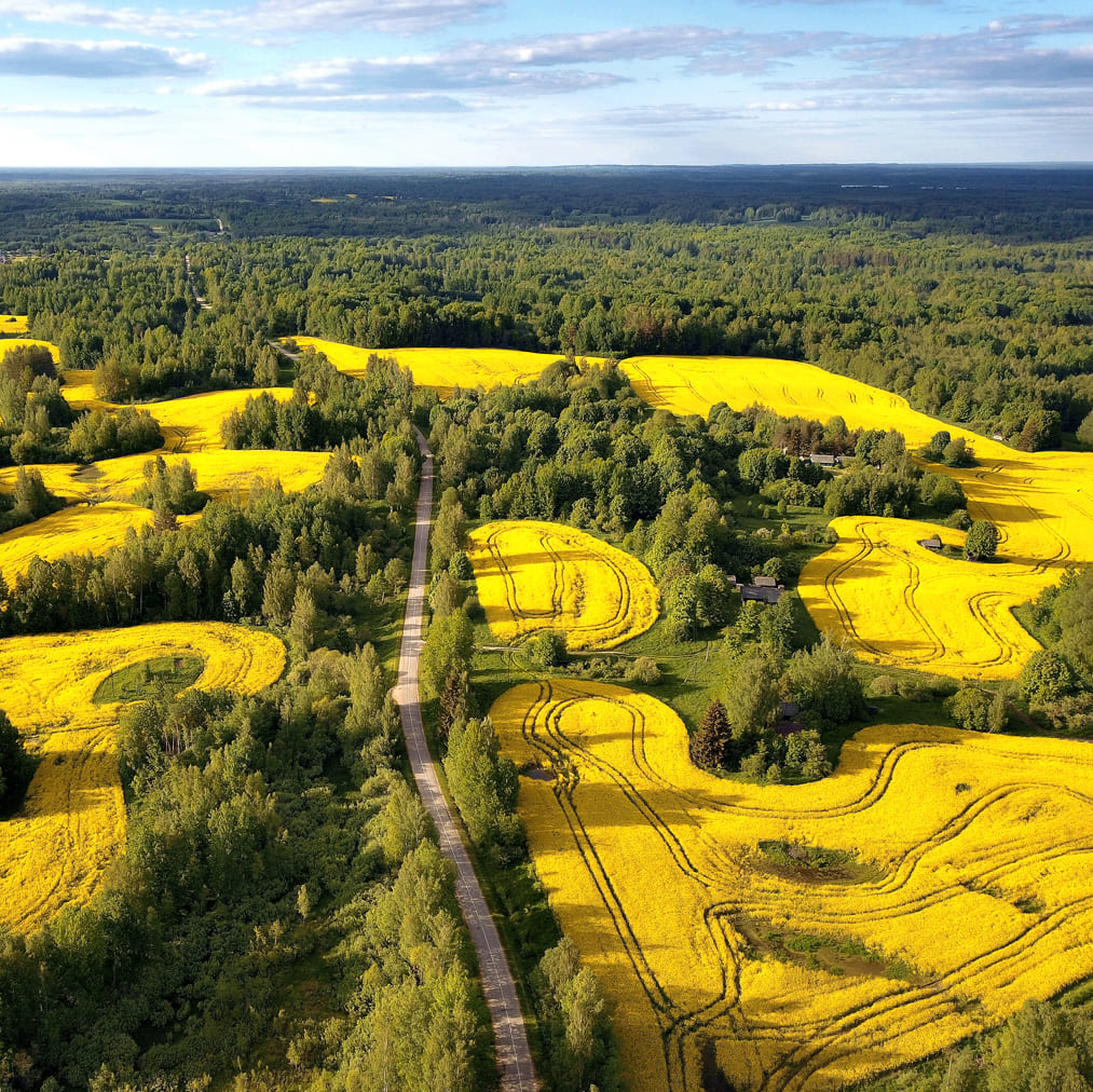  ООО «Веть» в Псковской области 