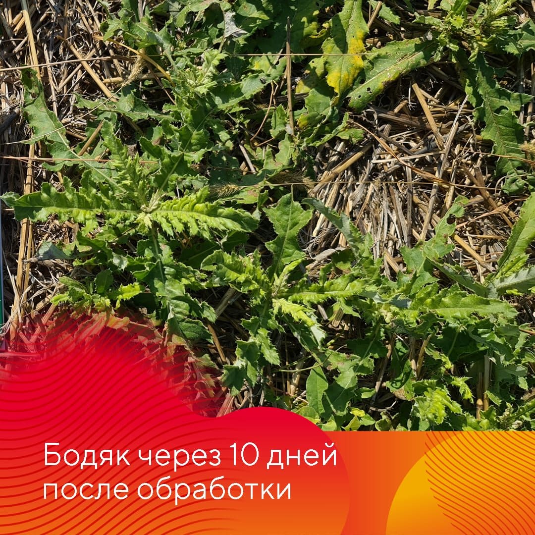 Менеджер-технолог представительства «Августа» в Ставрополе Владислав Панченко сентябрь 2022