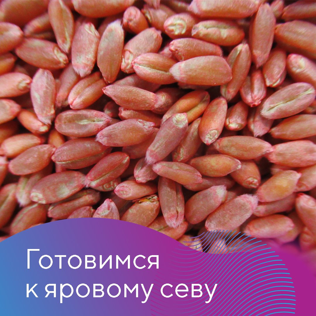 Пост 05.02.2025