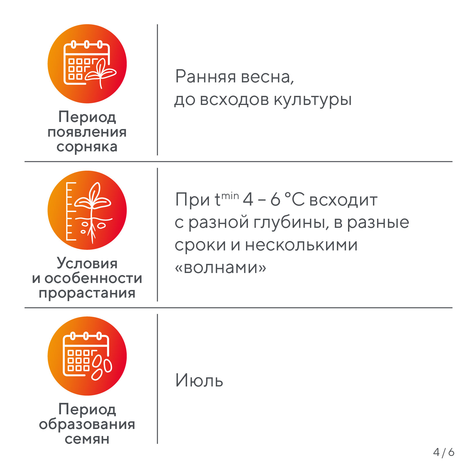 Пост 19.05.2026