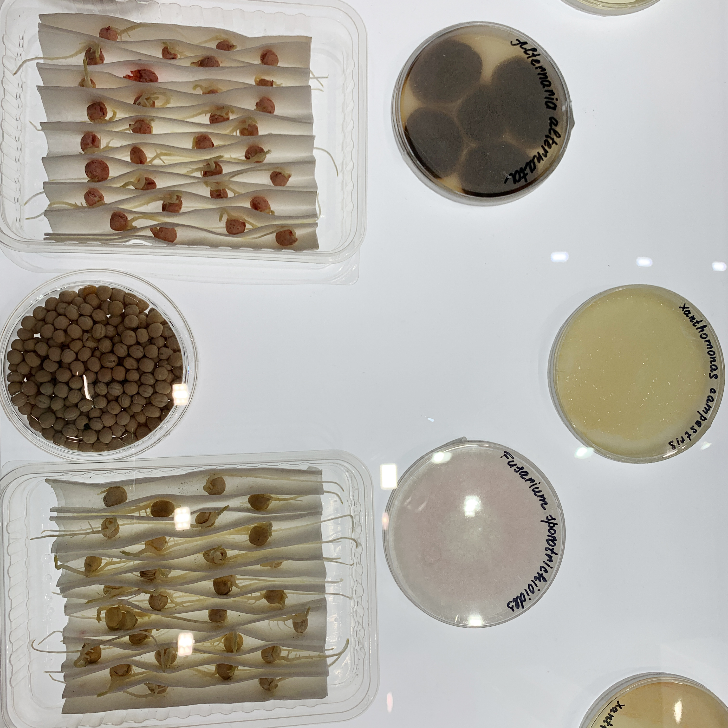 Третий день международной сельскохозяйственной выставки «ЮГАГРО»