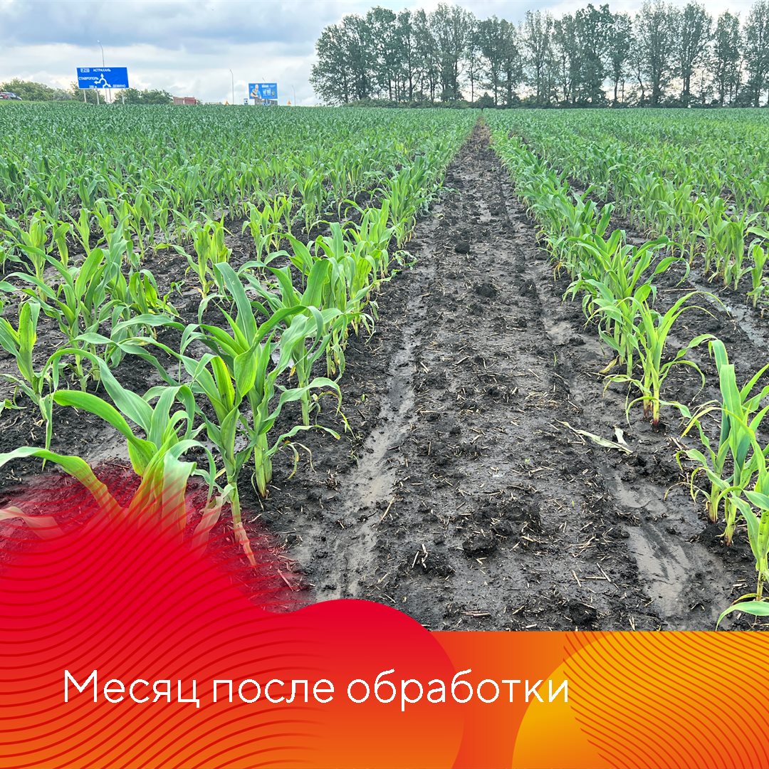 Работает Фултайм июнь 2023