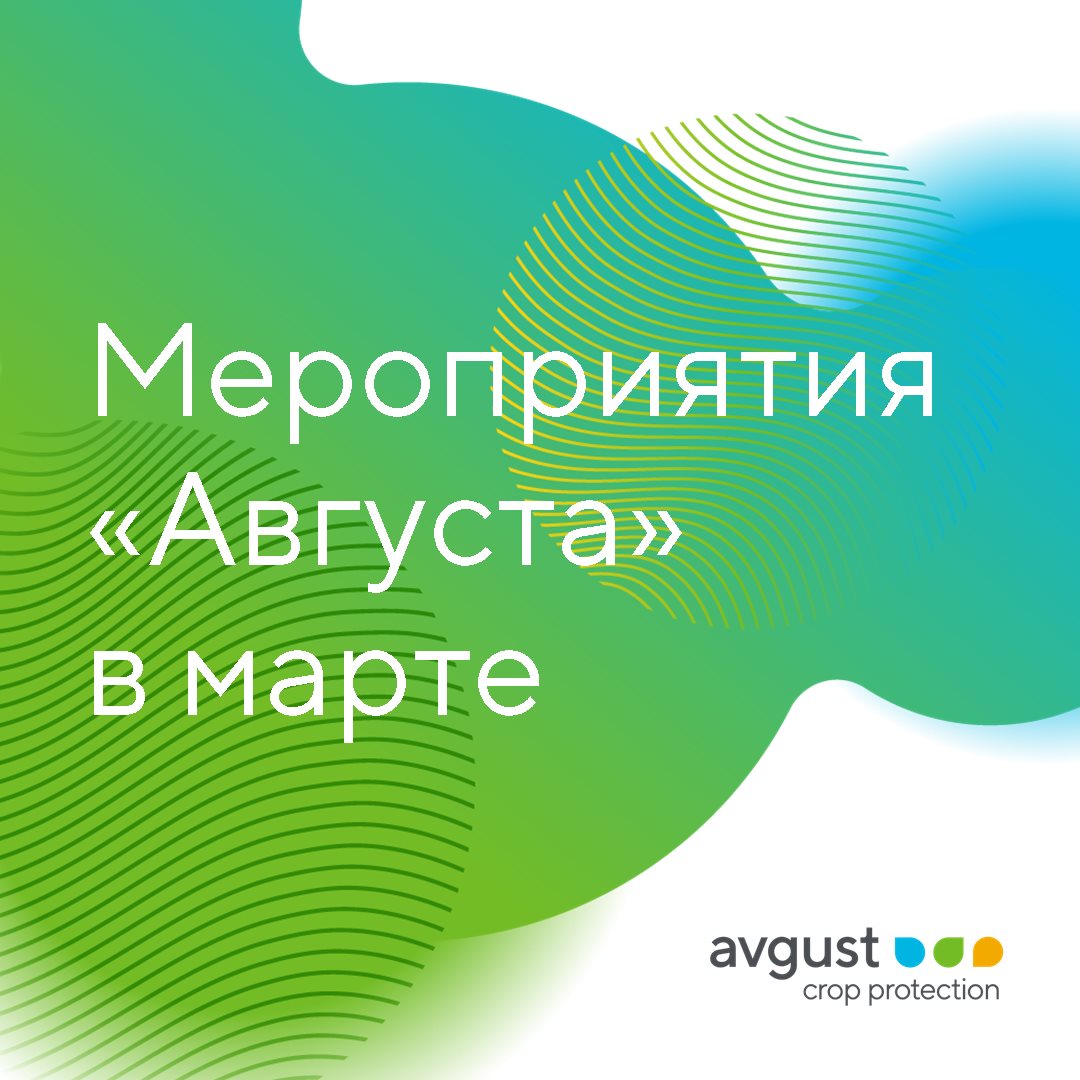 Блог компании Avgust