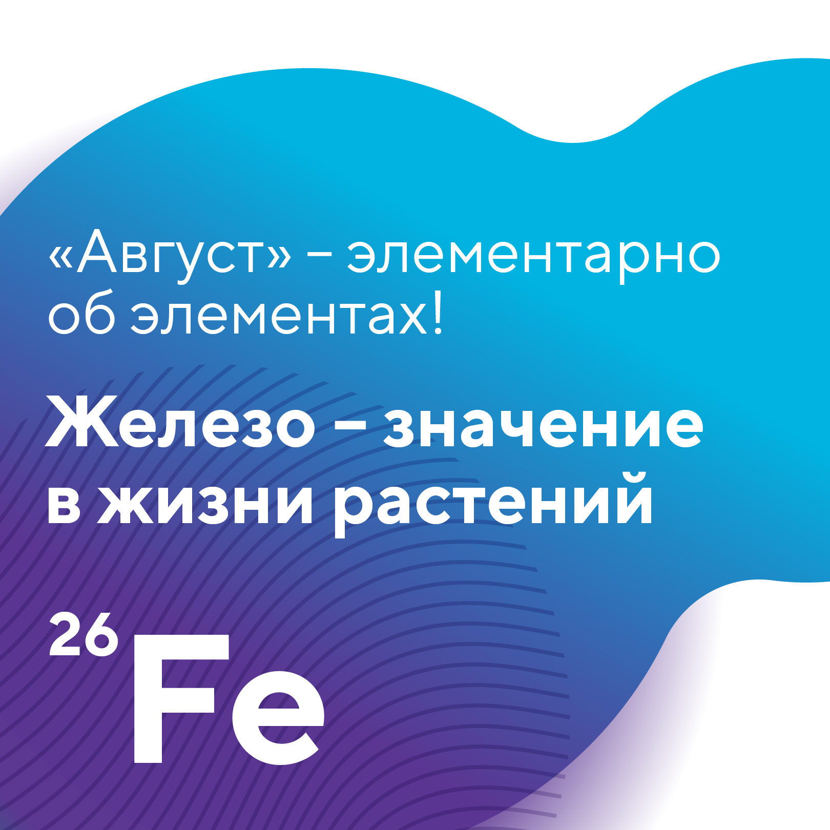 Пост 28.10.2026