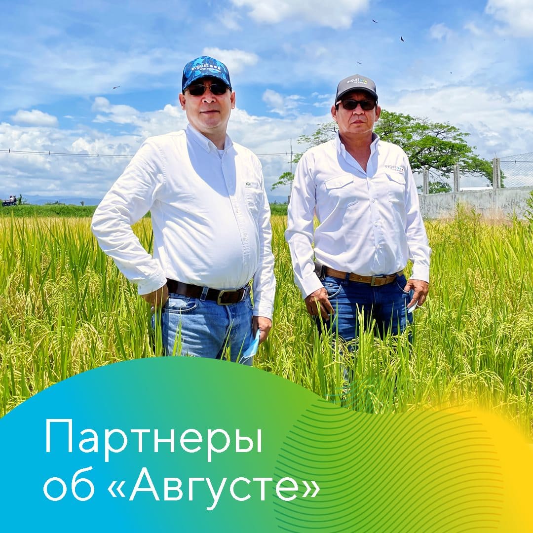 Компания «ProliAgro» выращивает рис, хлопчатник и кукурузу в центральной части Колумбии