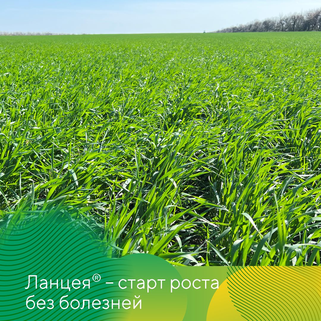 Пост 18.04.2025