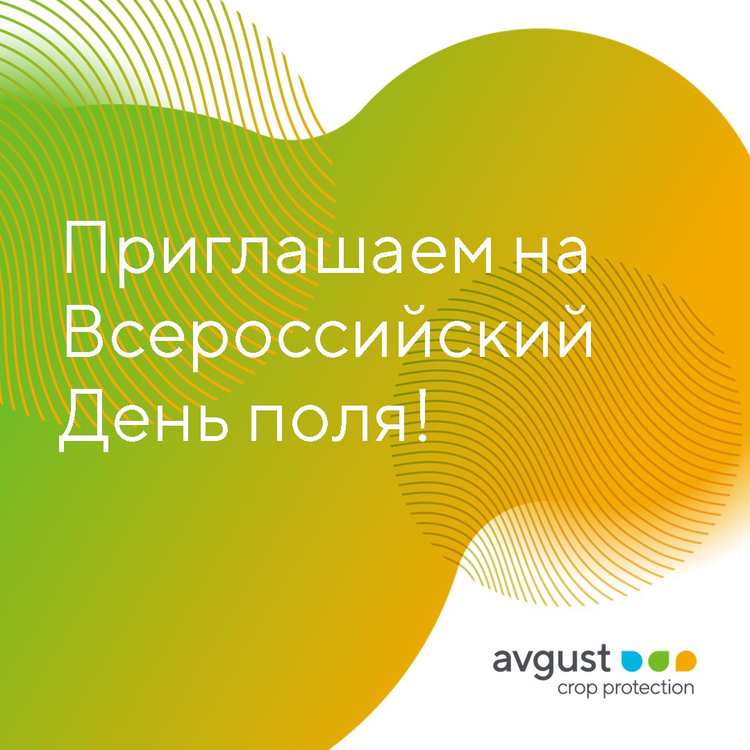 Пост 24.06.2025