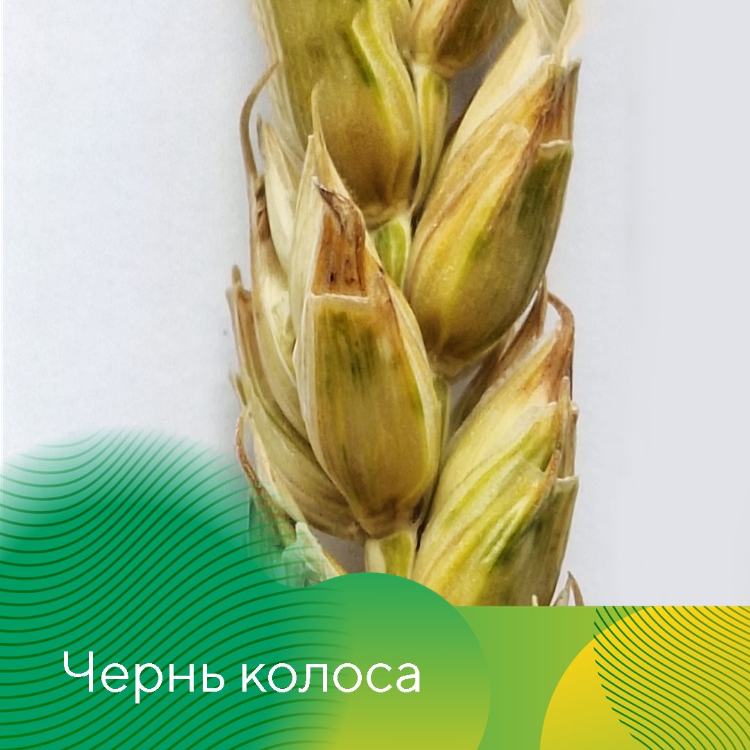Пост 6.05.2026