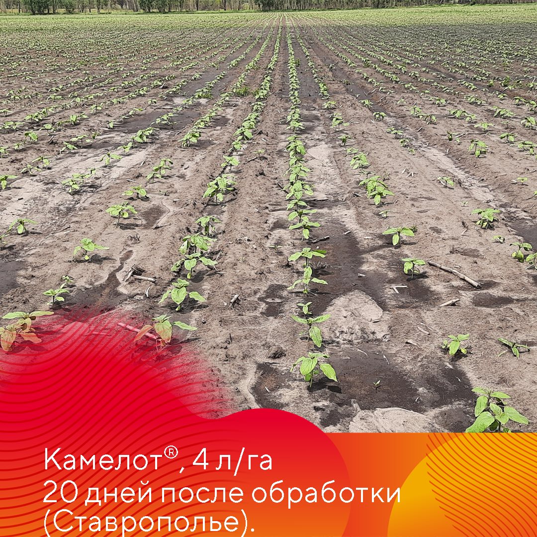 Пост 23.04.2025