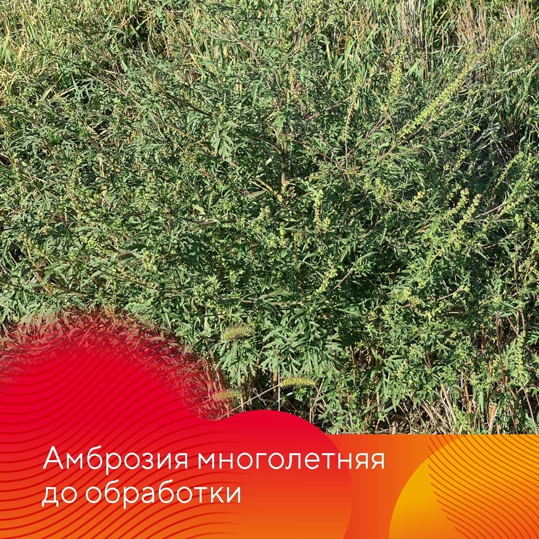 Менеджер-технолог представительства «Августа» в Ставрополе Владислав Панченко сентябрь 2022