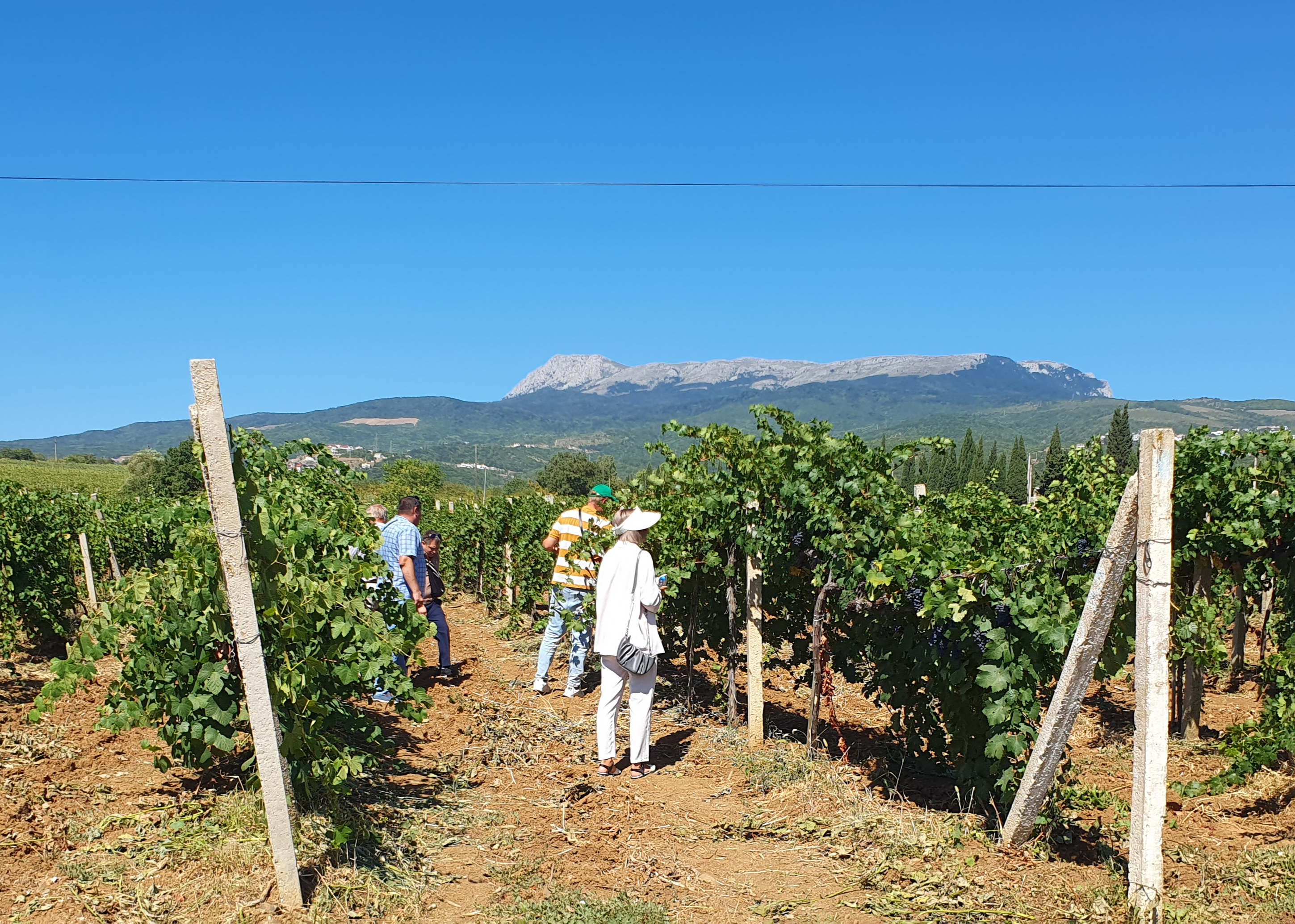 ПАО «Массандра» семинар «Августа»
