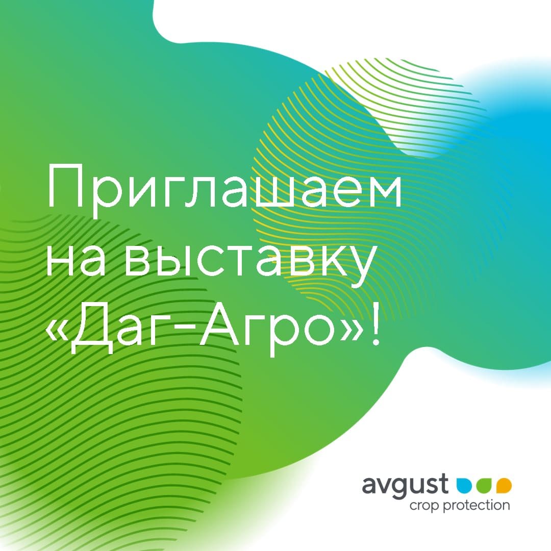 Блог компании Avgust