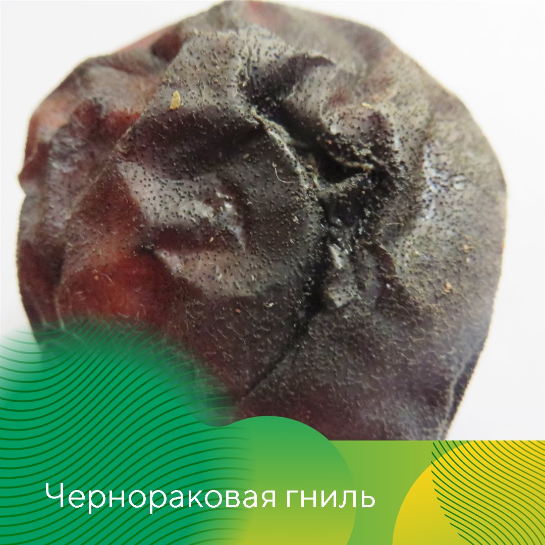 Пост 5.08.2026