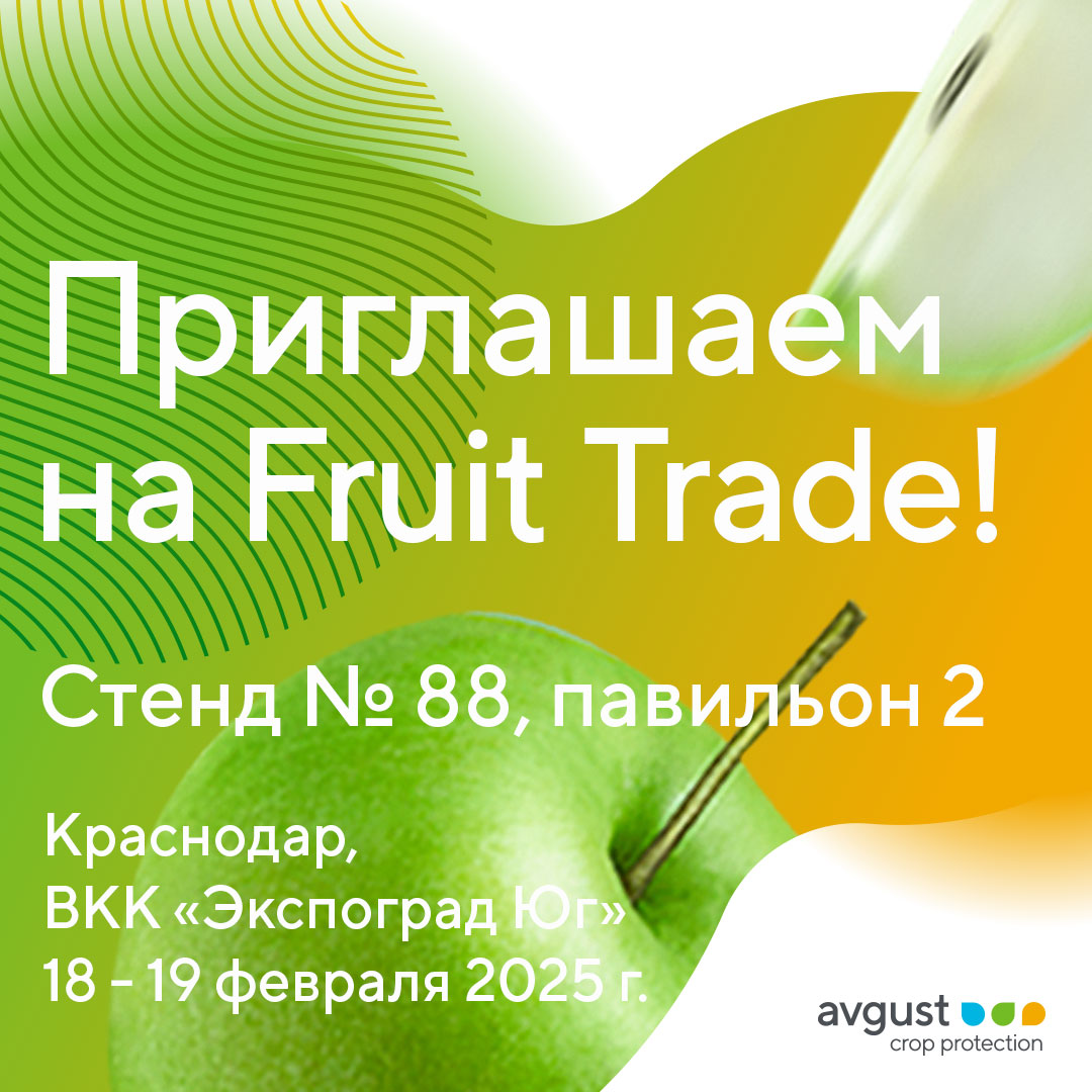 Пост 12.02.2025.1