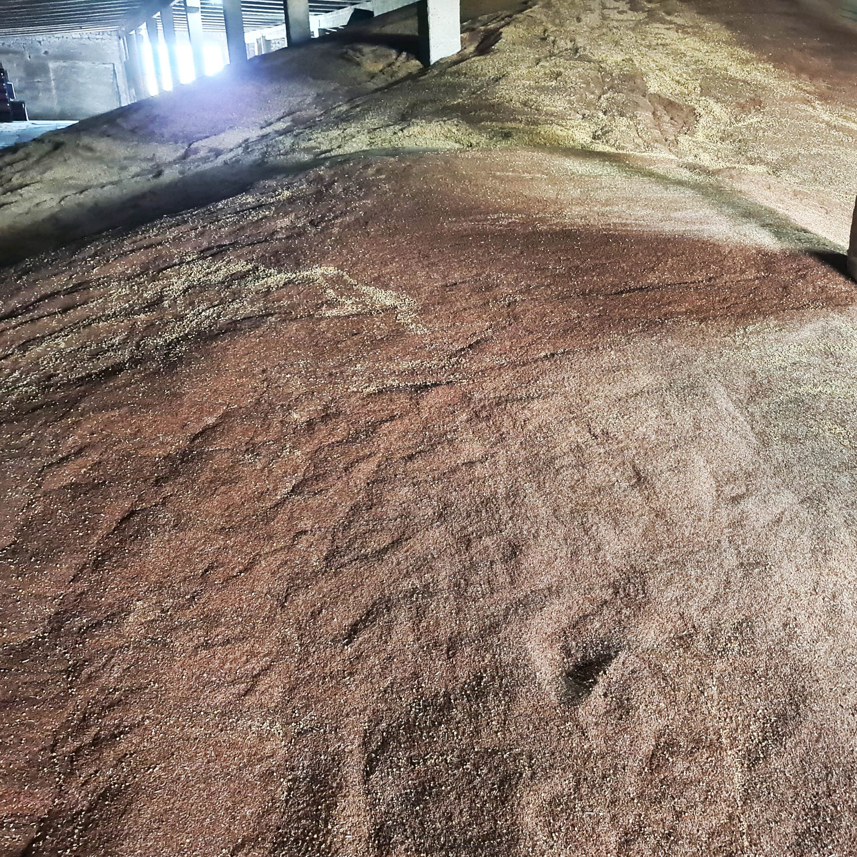 СПК «Колхоз Терновский» 2023