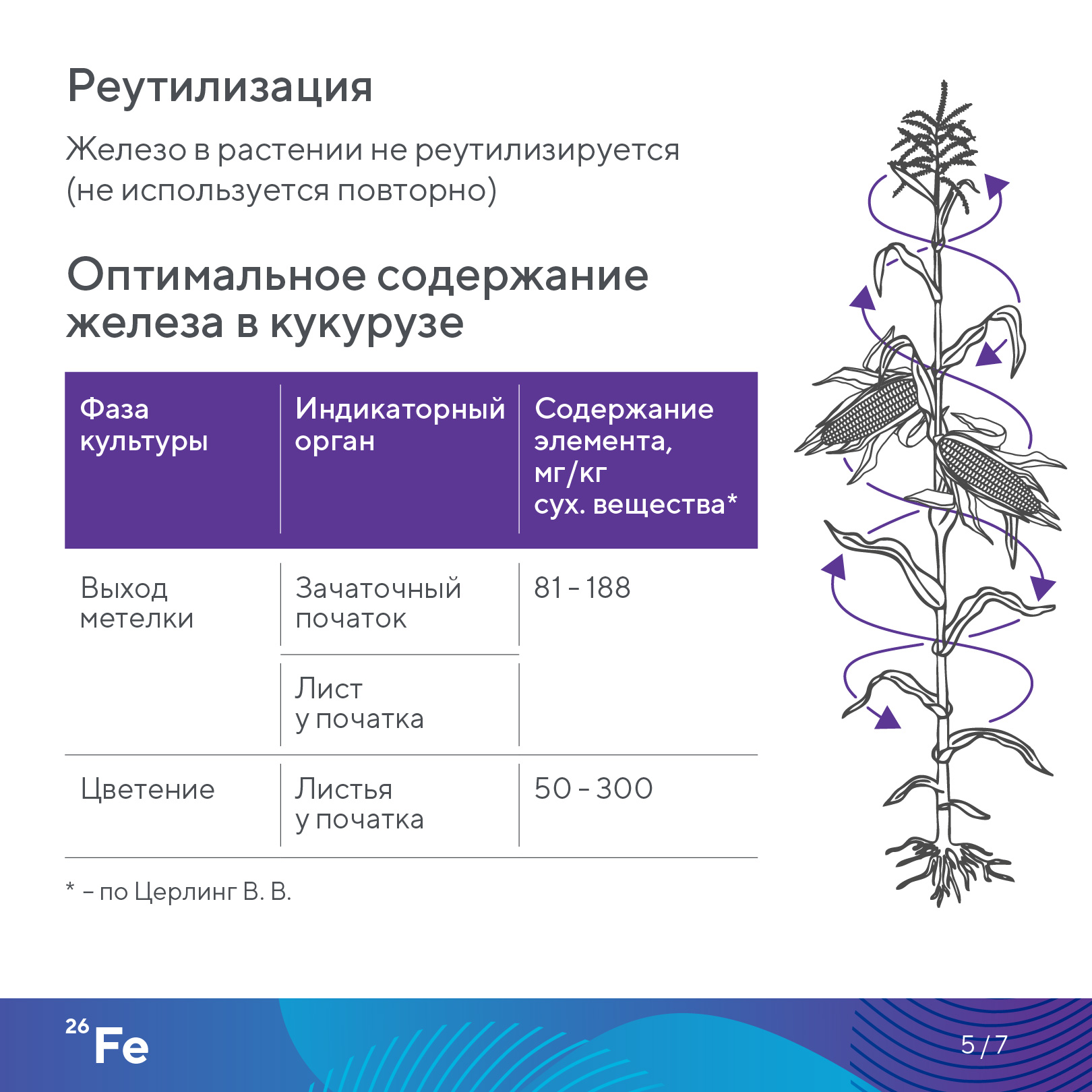Пост 28.10.2026